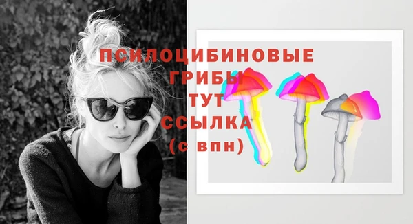 сатива Аркадак
