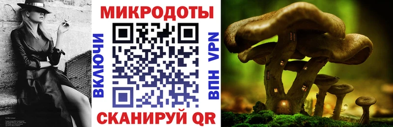 кракен ССЫЛКА Ногинск Псилоцибиновые грибы мухоморы где купить наркоту