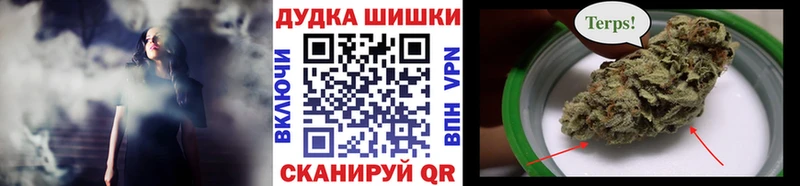 Каннабис ГИДРОПОН  Ногинск 